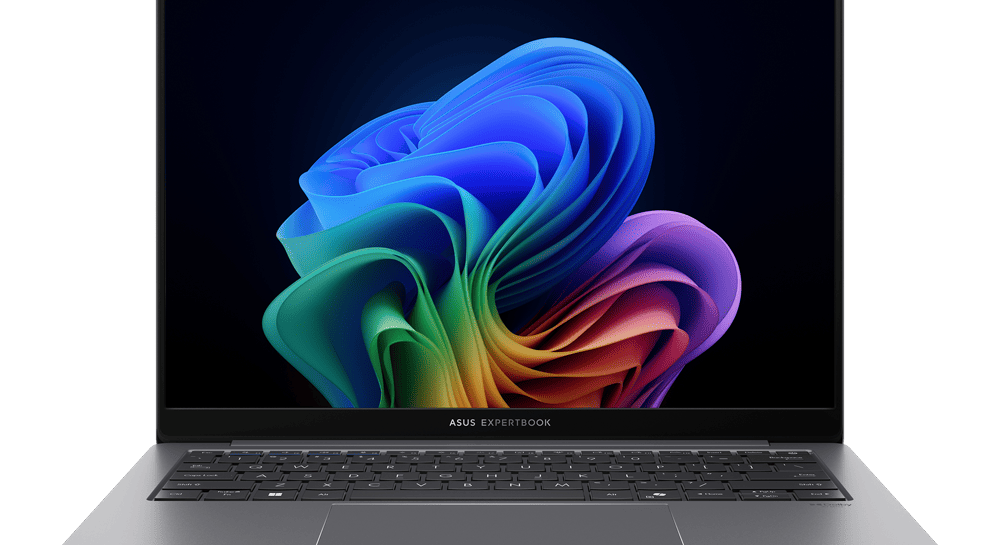 Asus ExpertBook P5405 (u5-226V)